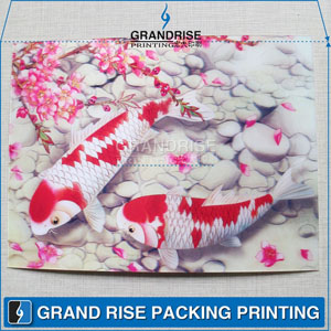 China KOI Fish 3D Lenticular Cards Printing